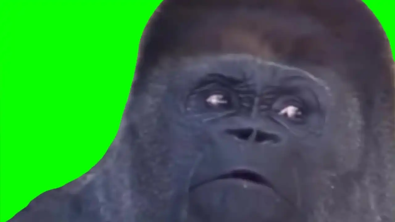 Ape side eye meme green screen