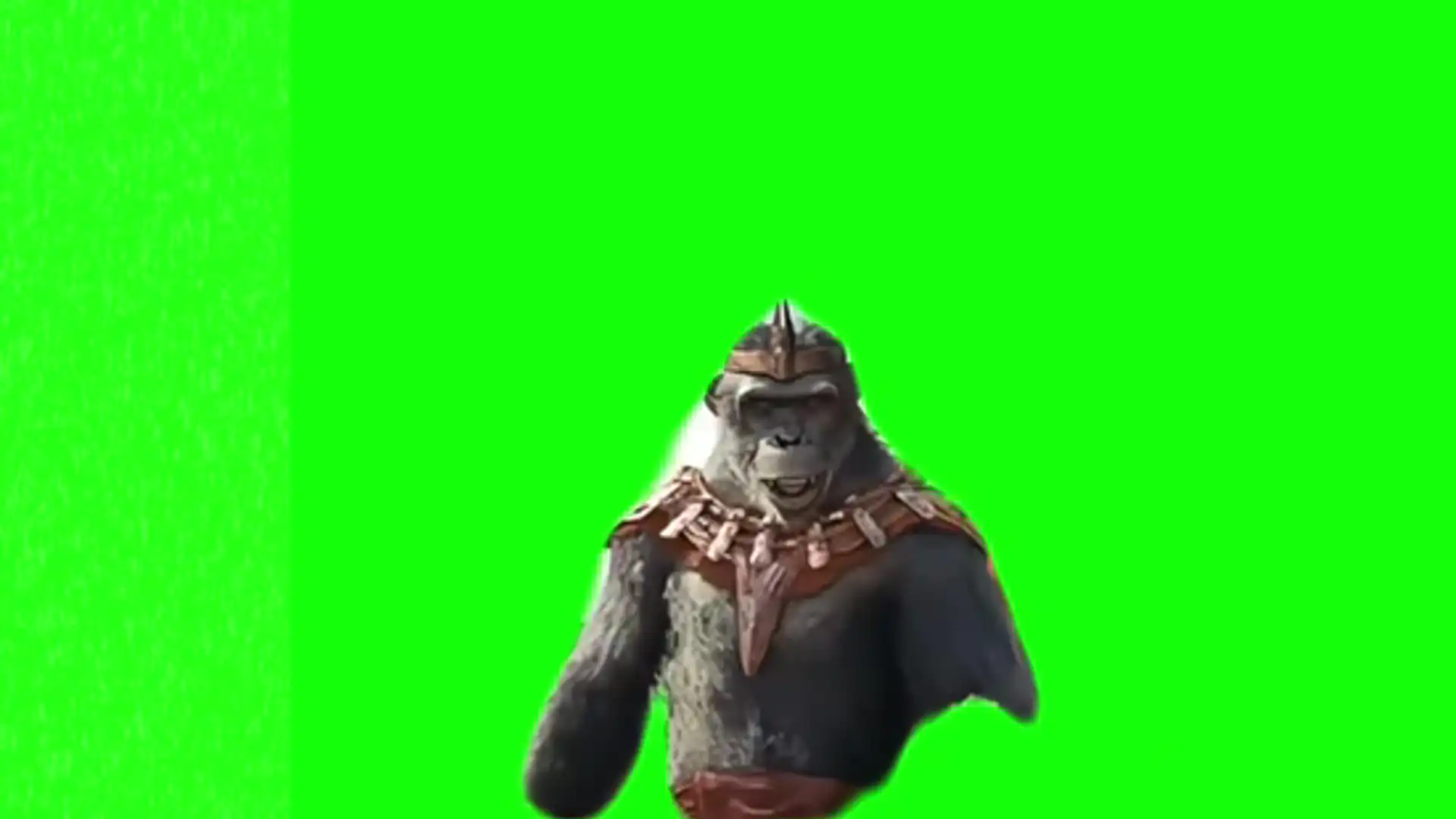 Apes! What a wonderful day green screen