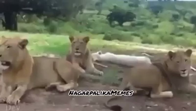 Astronomia Memes 2020 | #1 Funny Meme in 2020