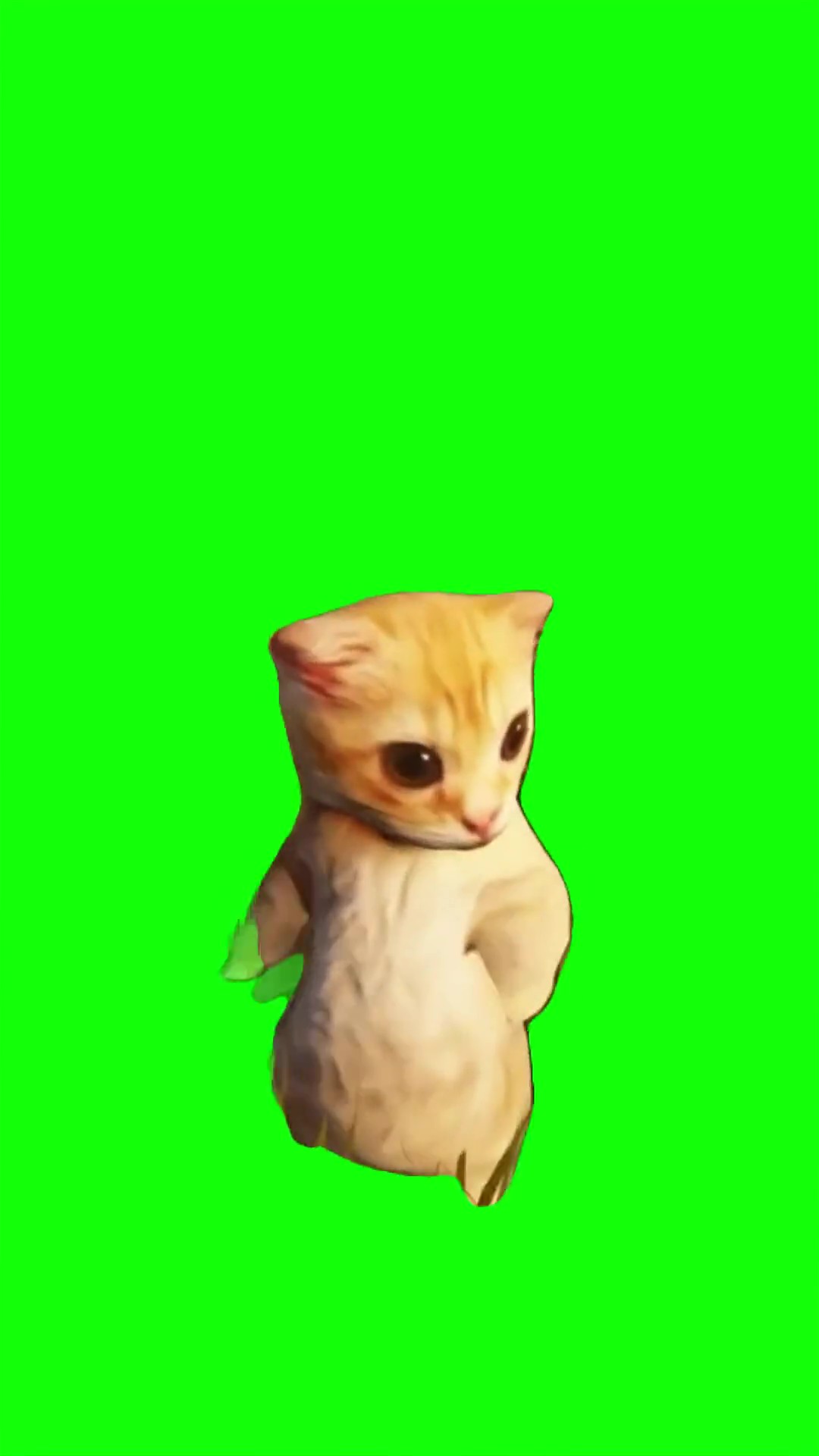 Ay mi gatito mia mia Green Screen Meme