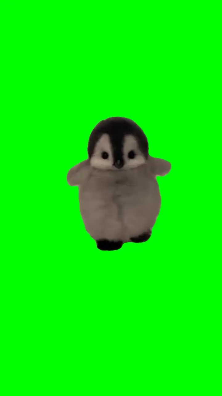 Baby penguin walking Meme Green Screen