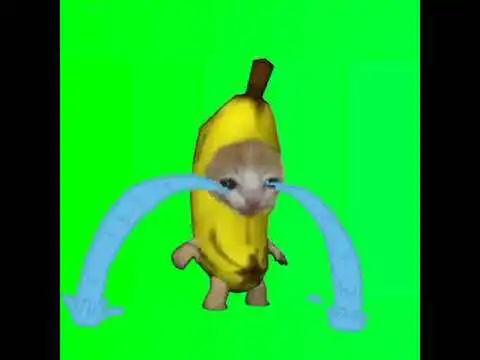 Banana cat crying green screen
