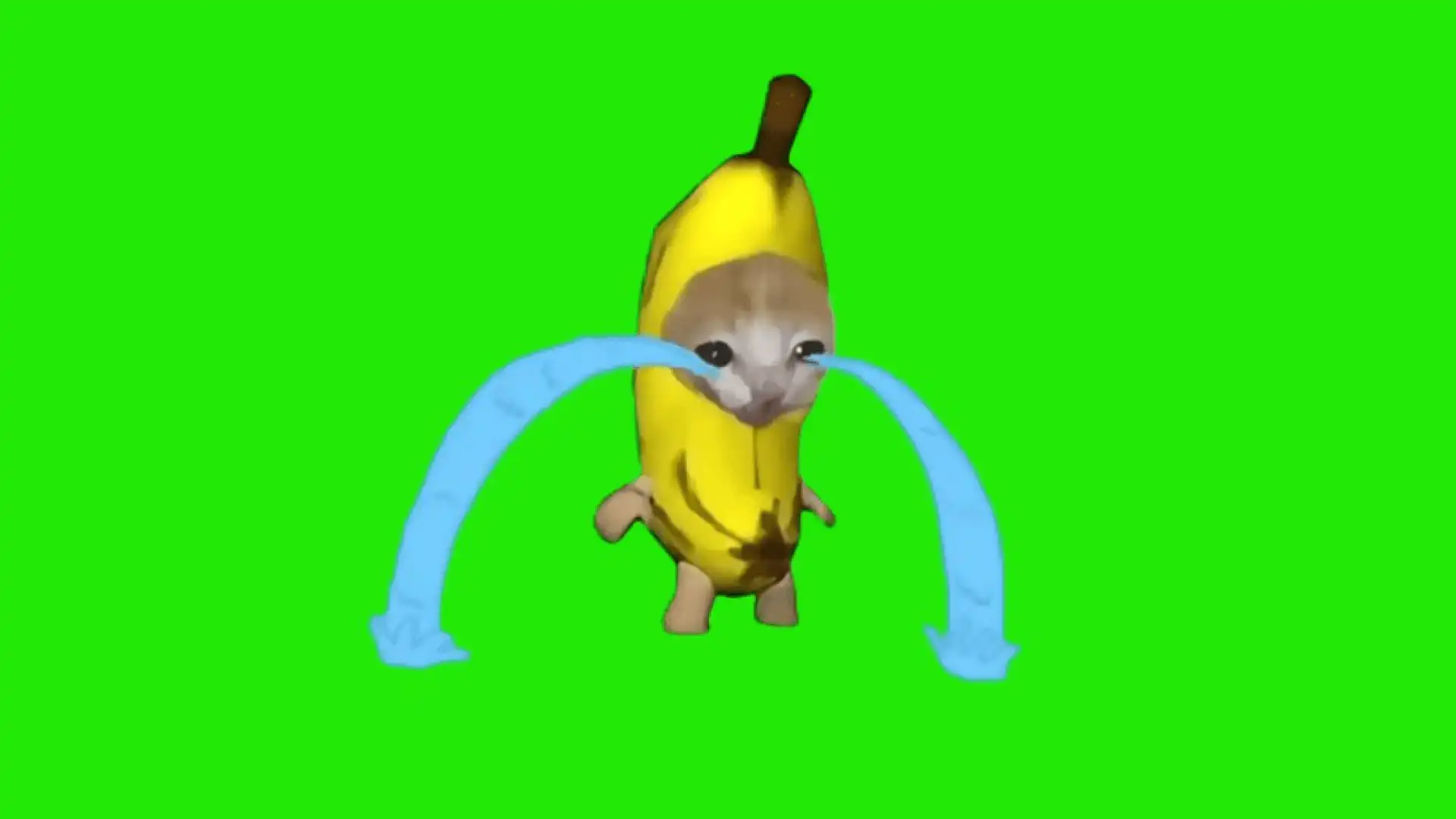 Banana cat crying meme green screen