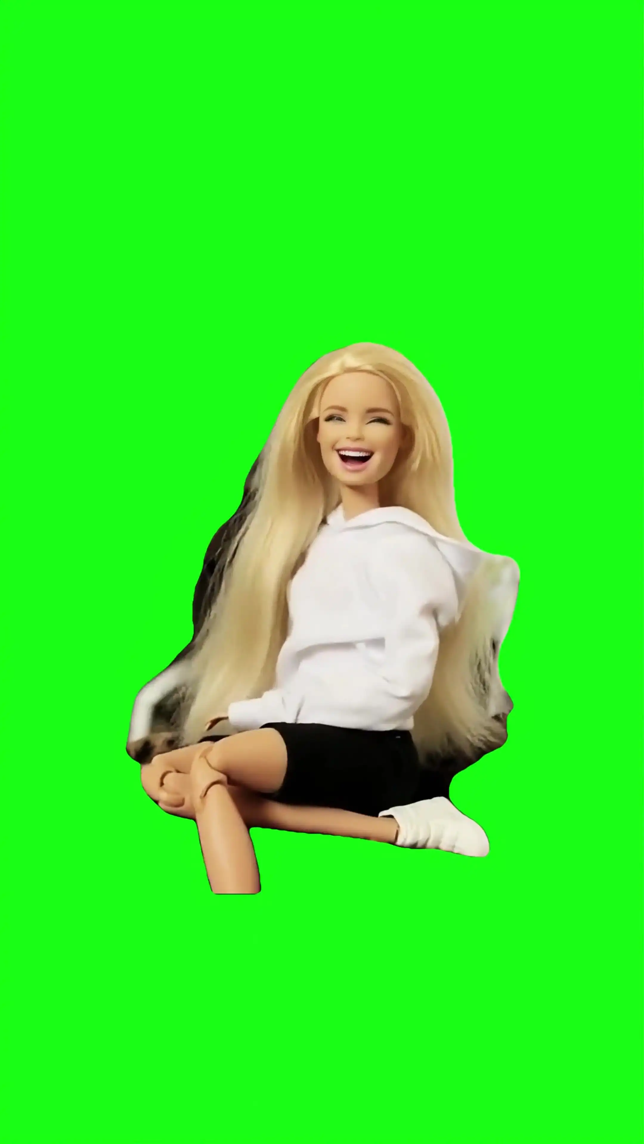 Barbie fake laughing Green Screen Meme