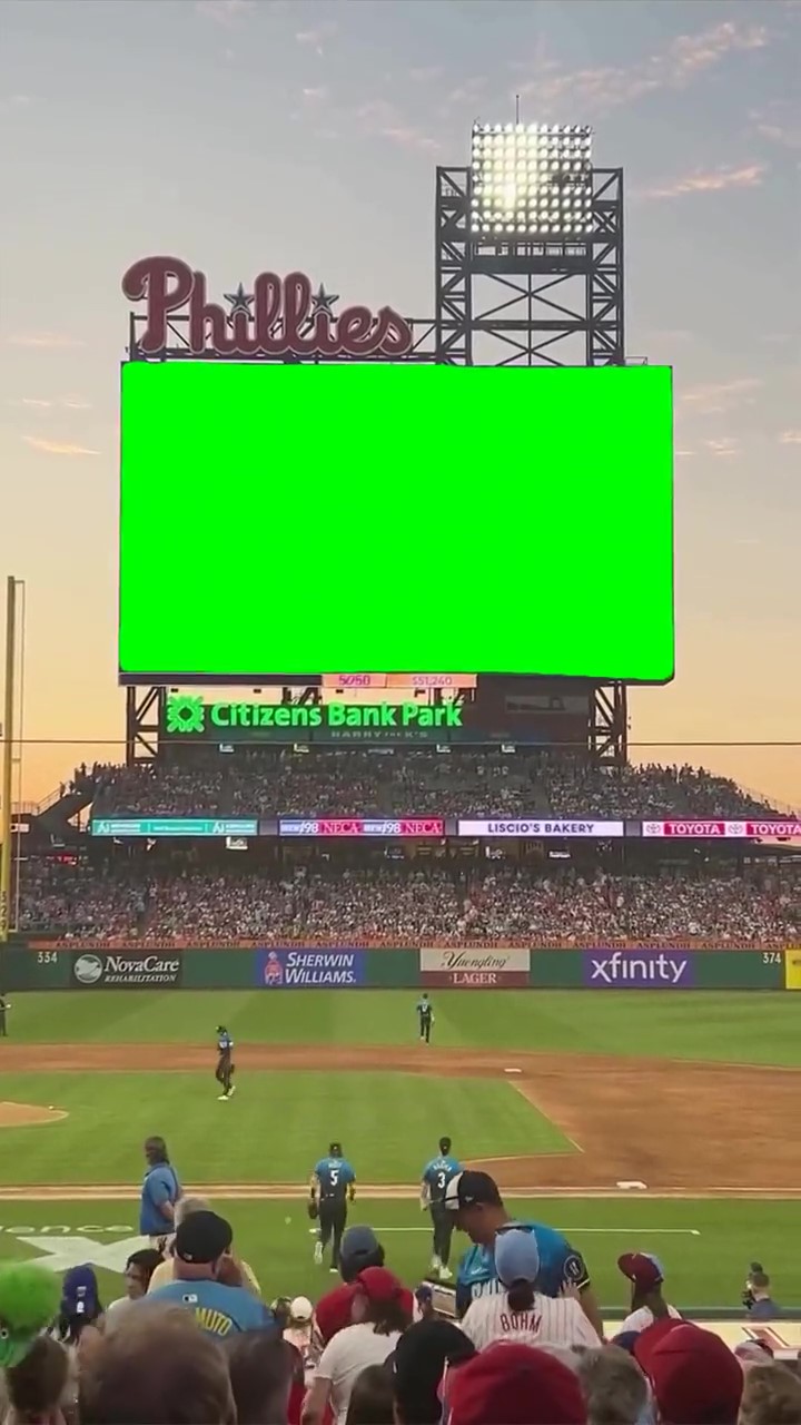 baseball stadium screen