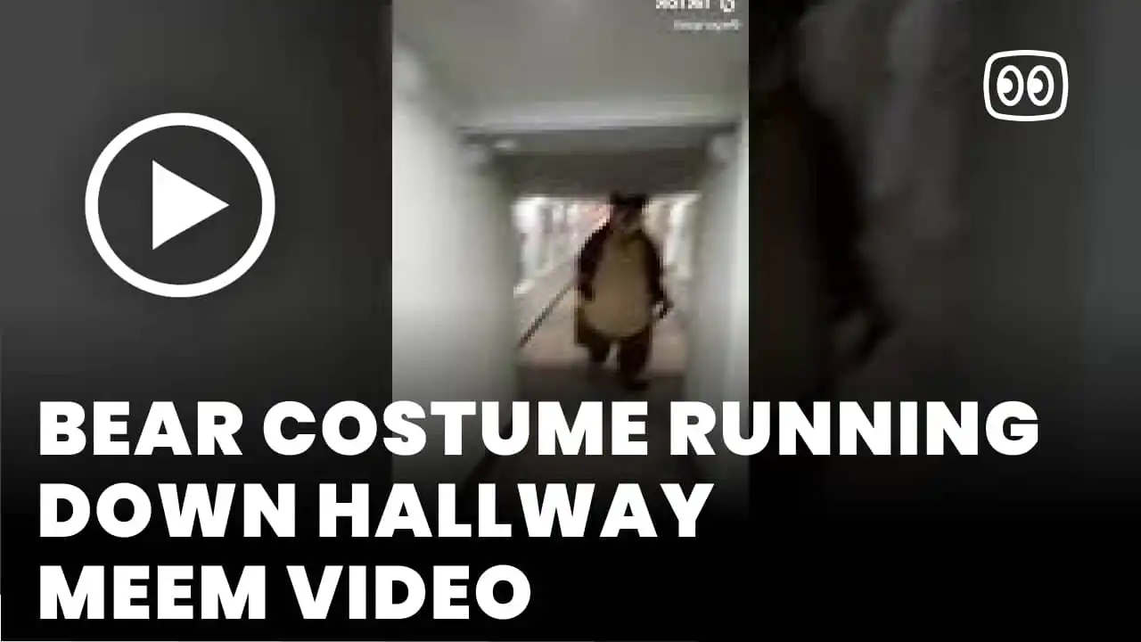 Bear Costume Running Down Hallway Meme Original Video