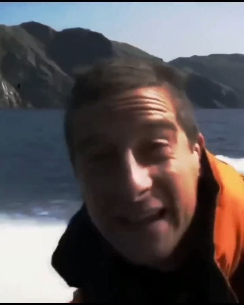 Bear Grylls Meme Video