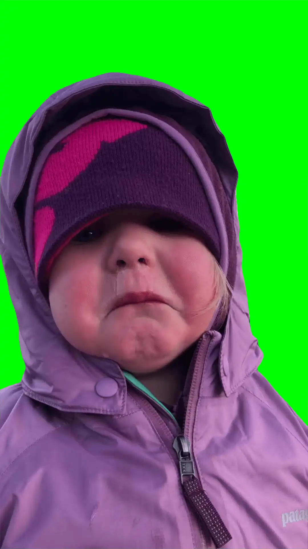 Big Deer Ran Away Meme Green Screen