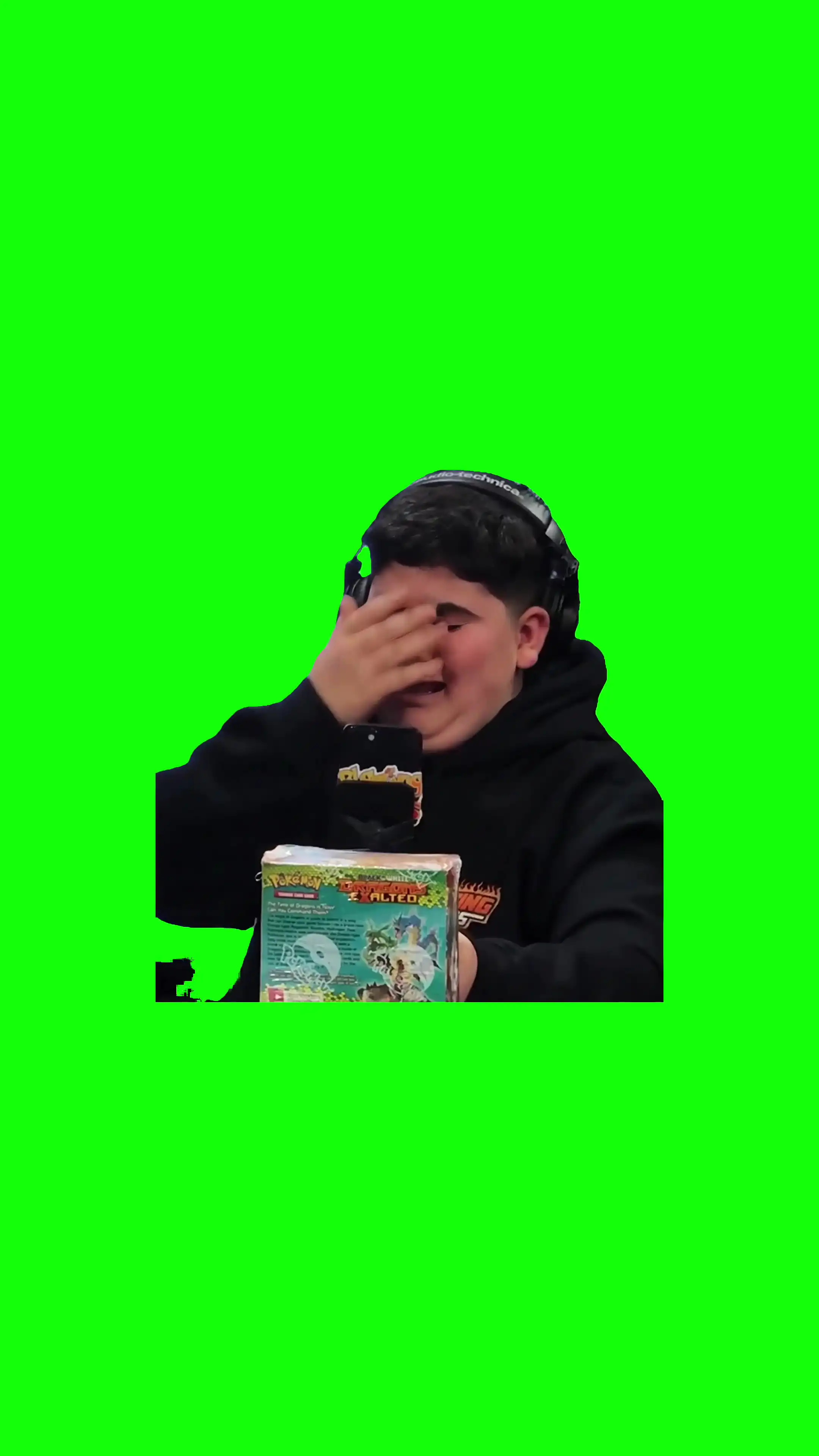 BIG JUSTICE FREAKING OUT MEME GREEN SCREEN