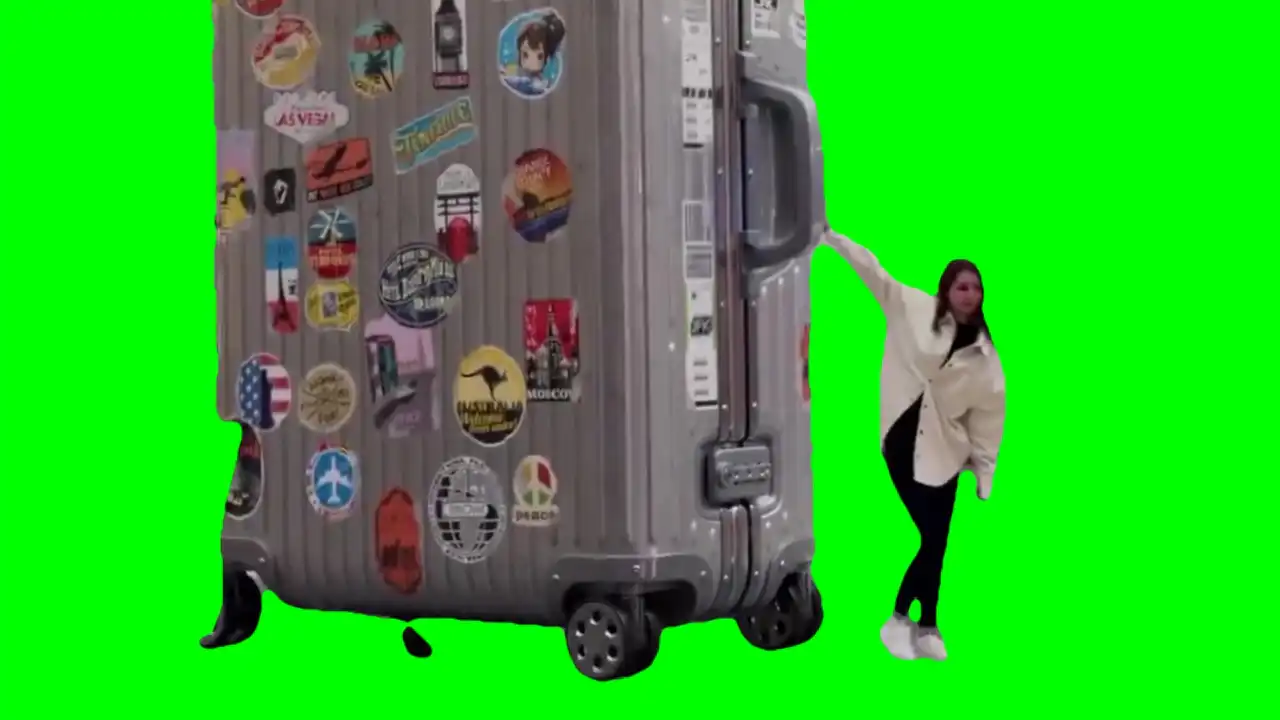 Big Luggage Meme green screen