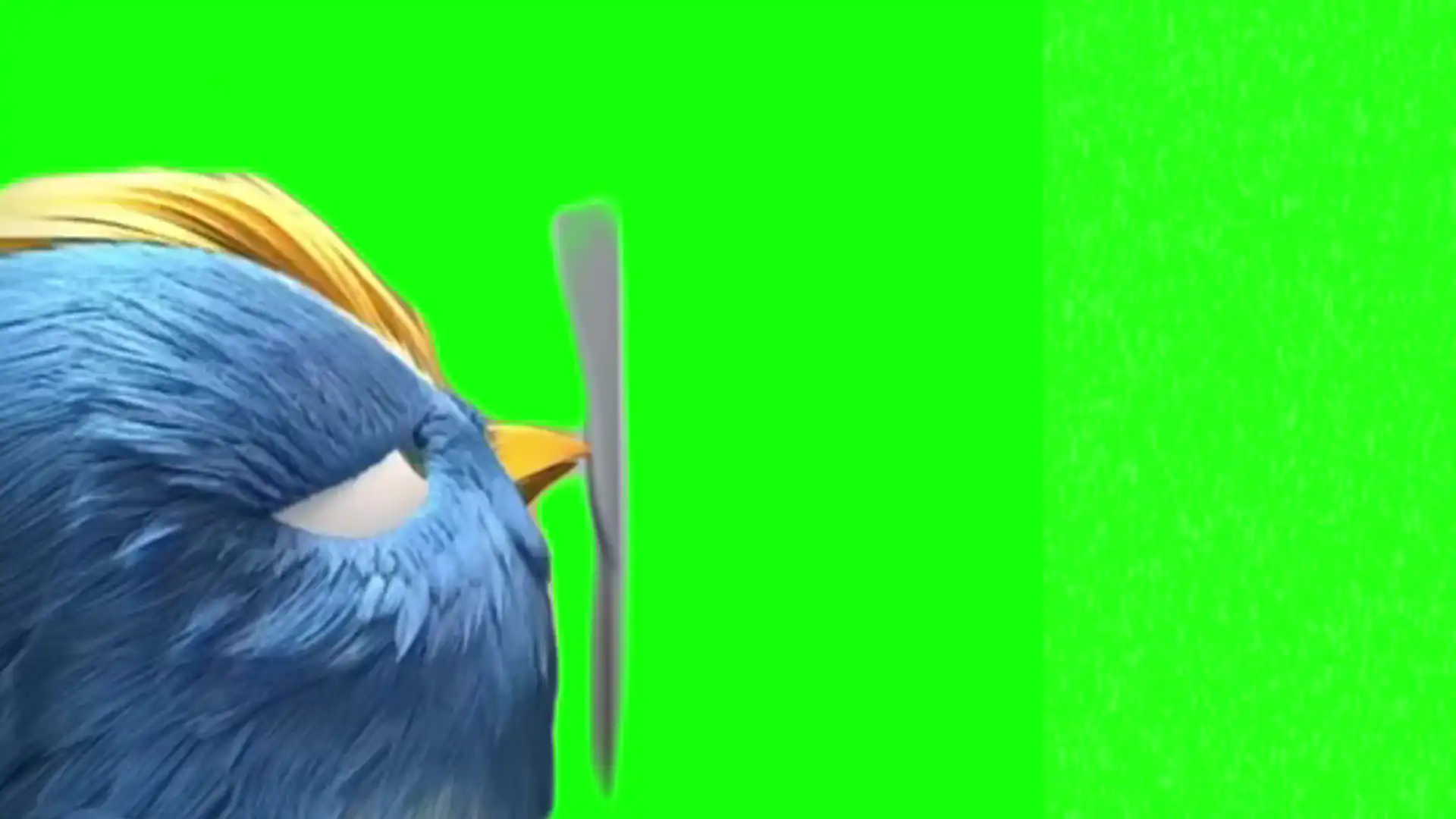 Bird flickering button imagine dragons meme green screen