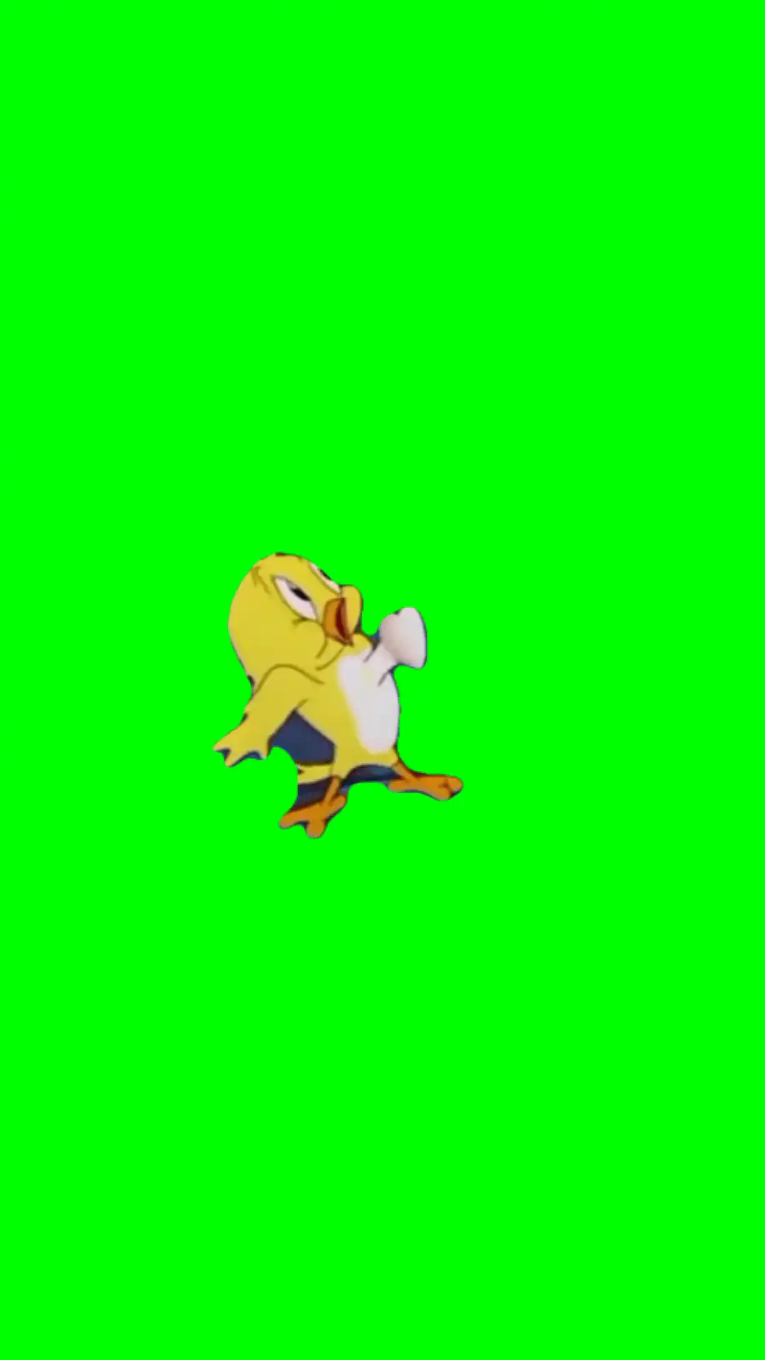 Bird in love meme green screen