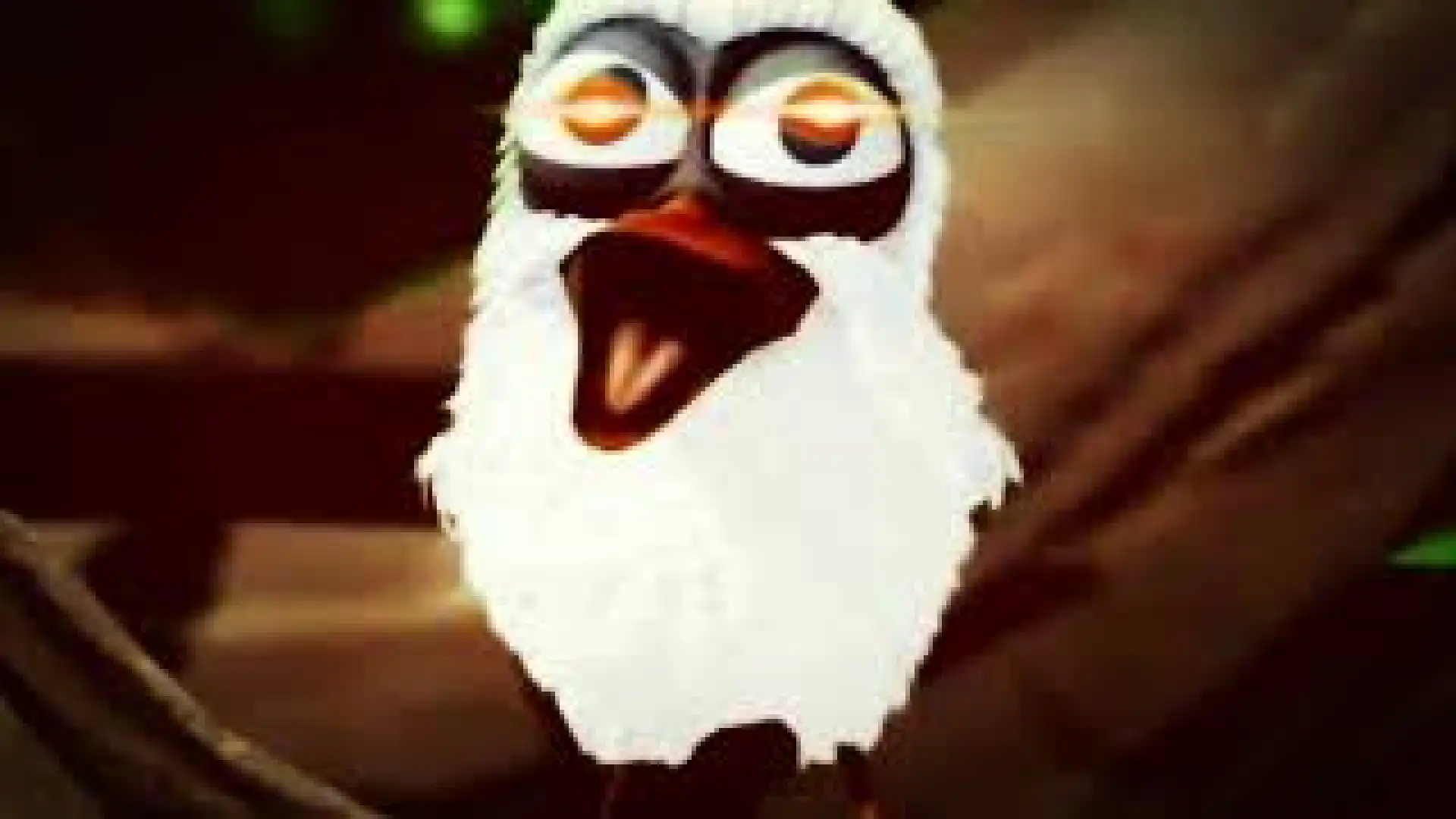bird screams Assalam Aleykum