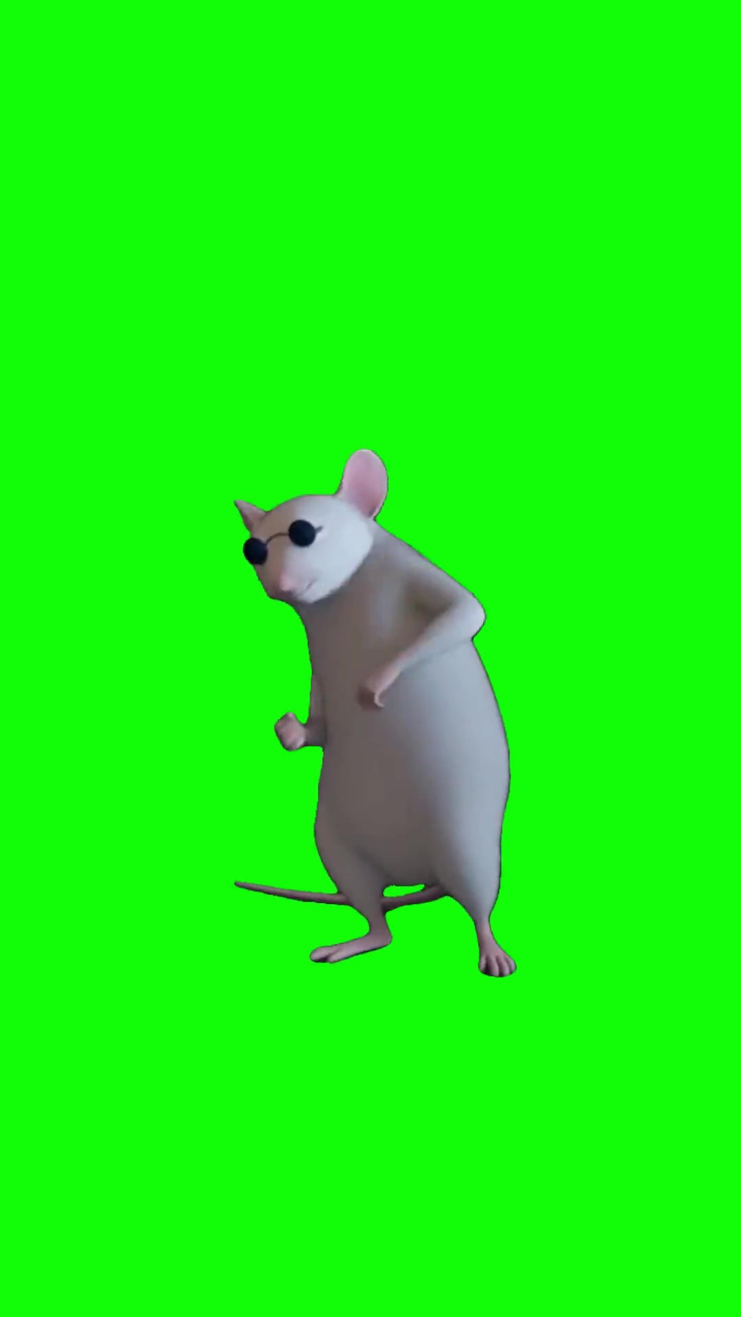 Blind rat dancing Green Screen Meme