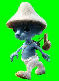 Blue Smurf Cat meme We Live We Love We Lie Green Screen