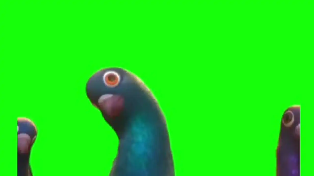 Bolt- Pigeions i seen this guy meme