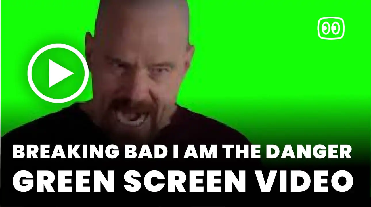 Breaking Bad I Am The Danger Green Screen