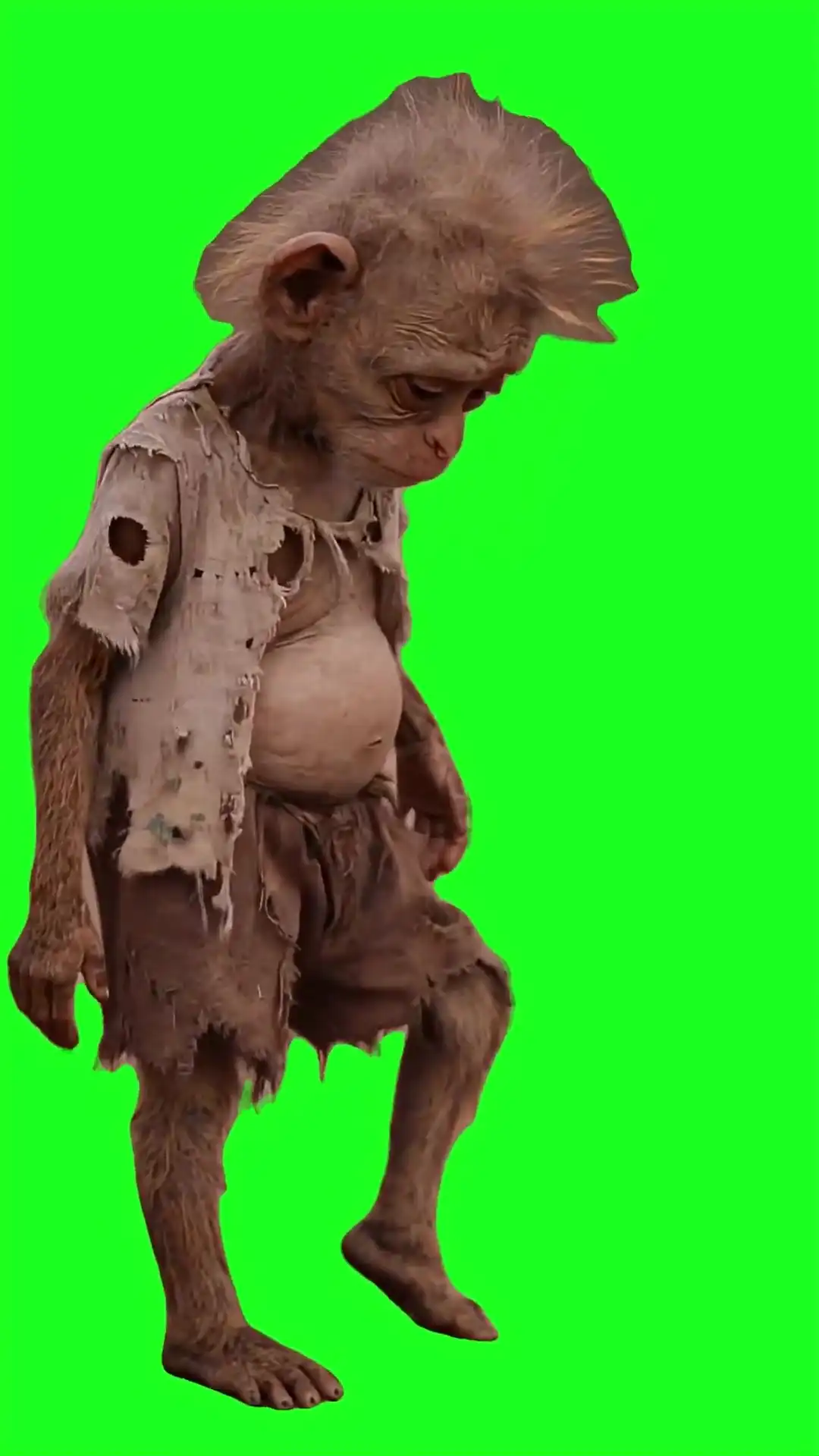 Broke monkey dancing Green Screen Meme