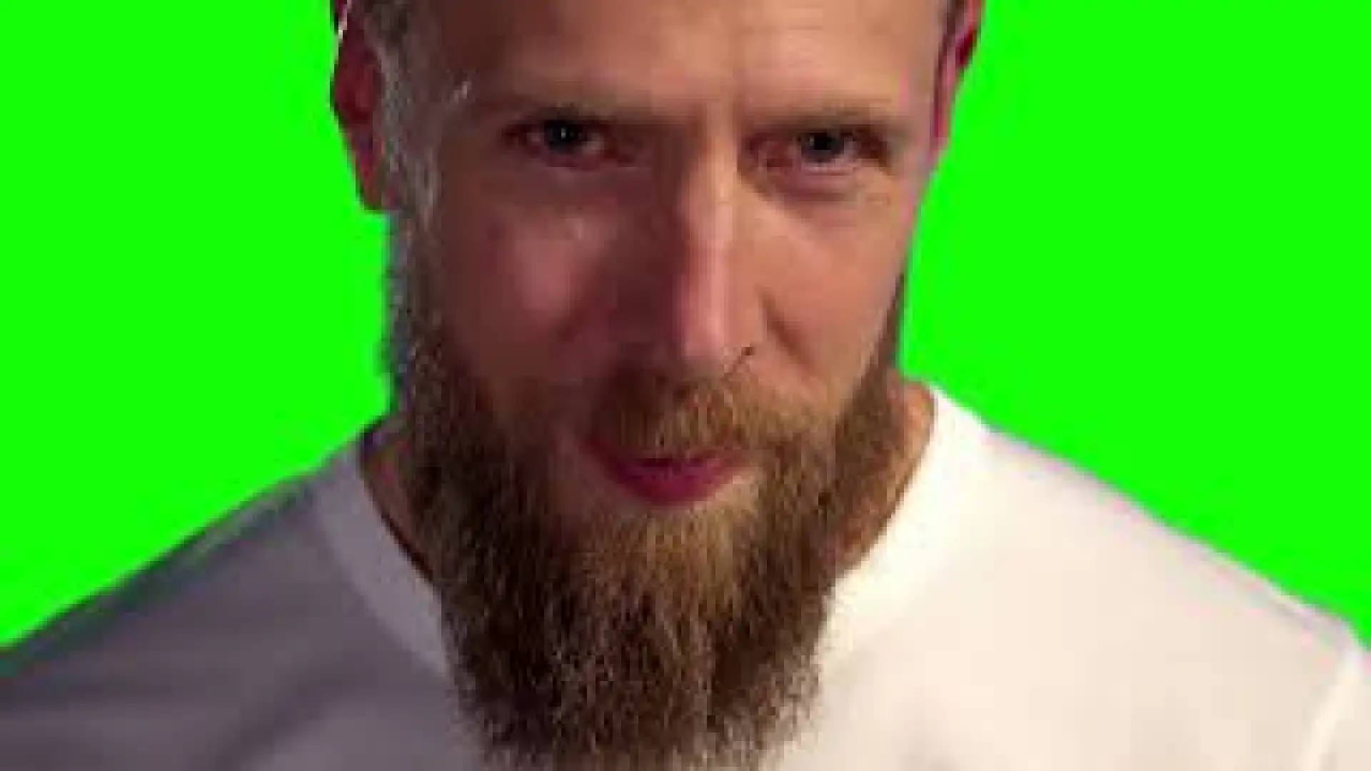 Bryan Danielson looking at you green screen
