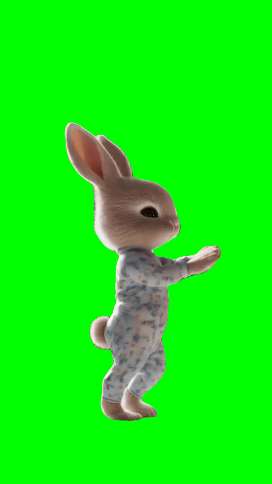 Bunny stretching Yoga Meme Green Screen