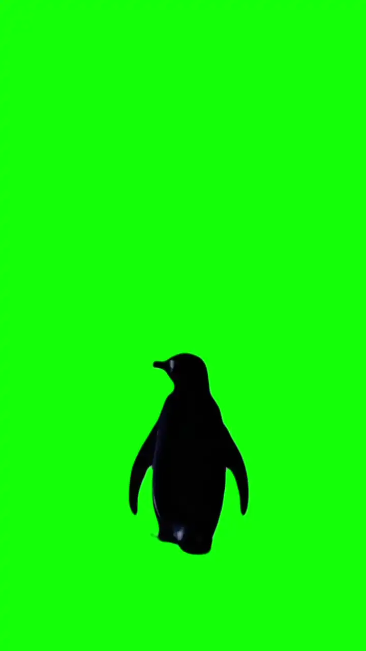 But why penguin Green Screen Meme
