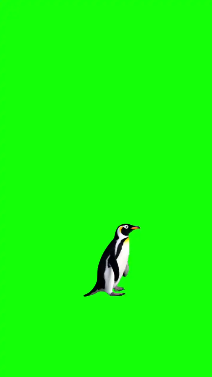But why penguin trend Green Screen Meme