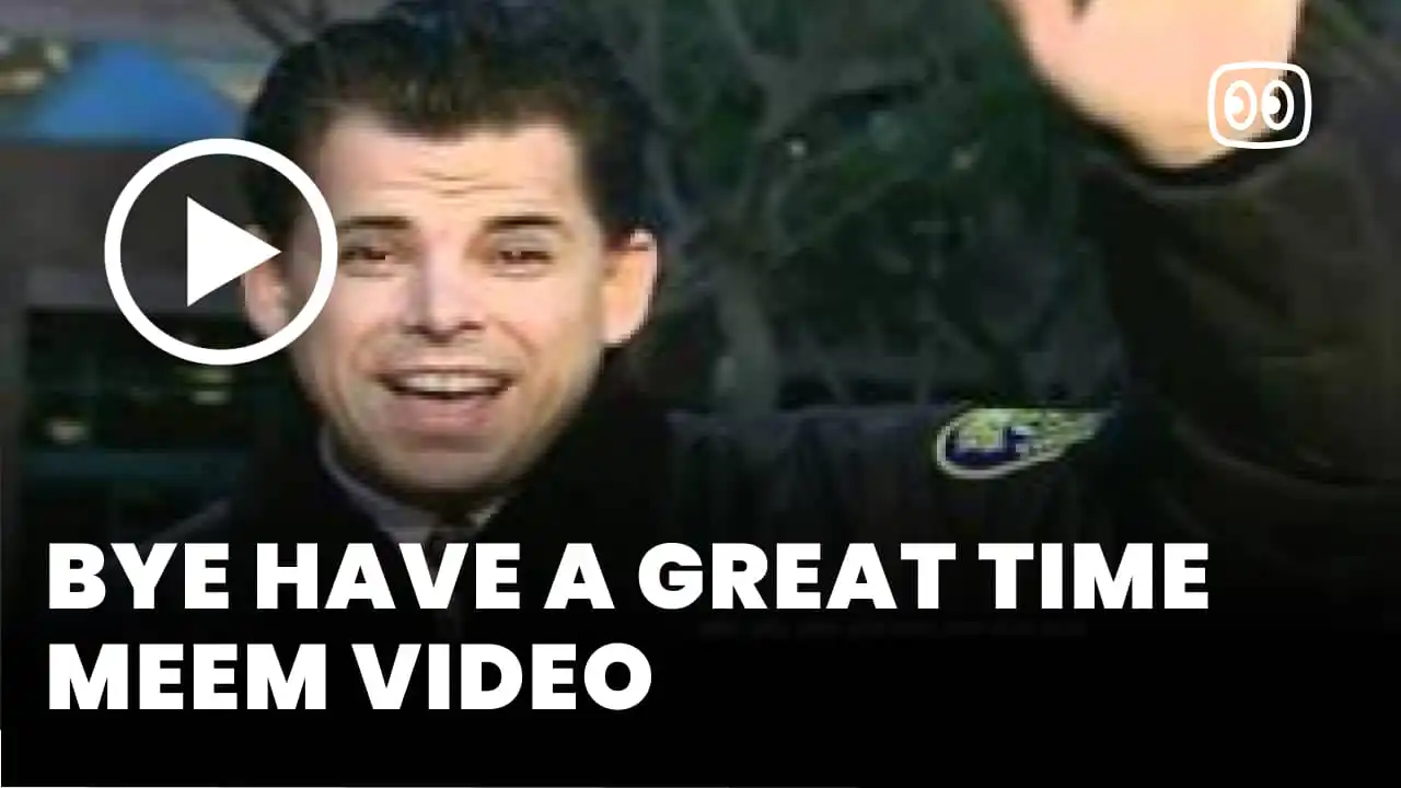 Bye Have a Great Time meem video