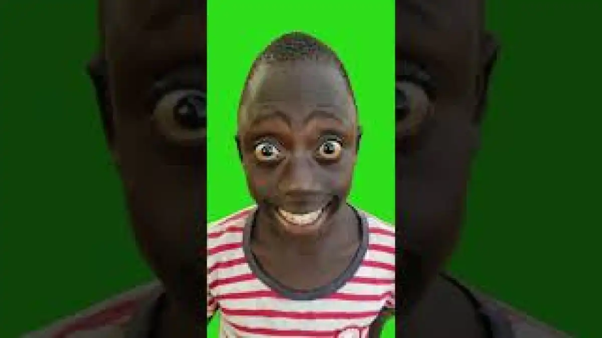 Can anyone buy me an iPhone green screen