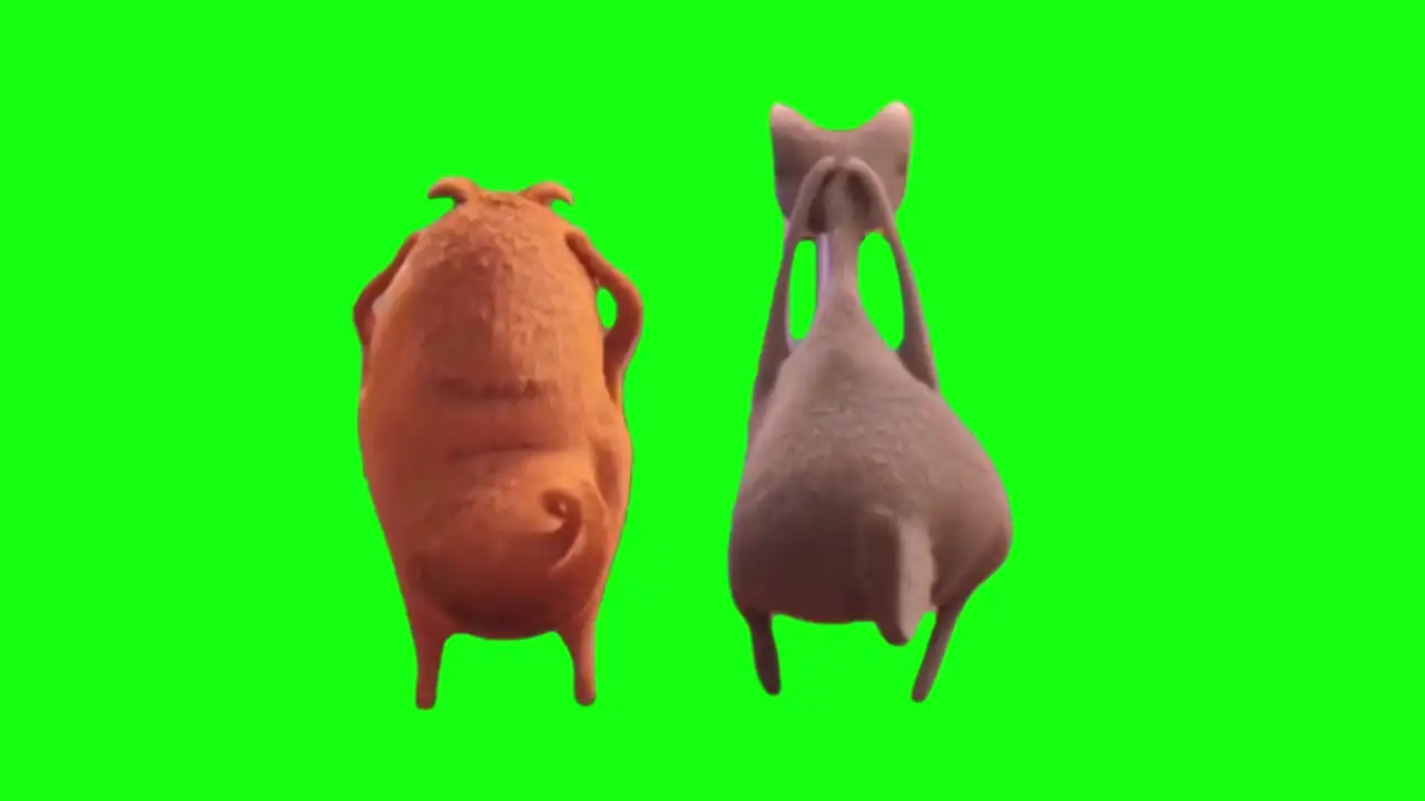 cat and dog dancing green screen