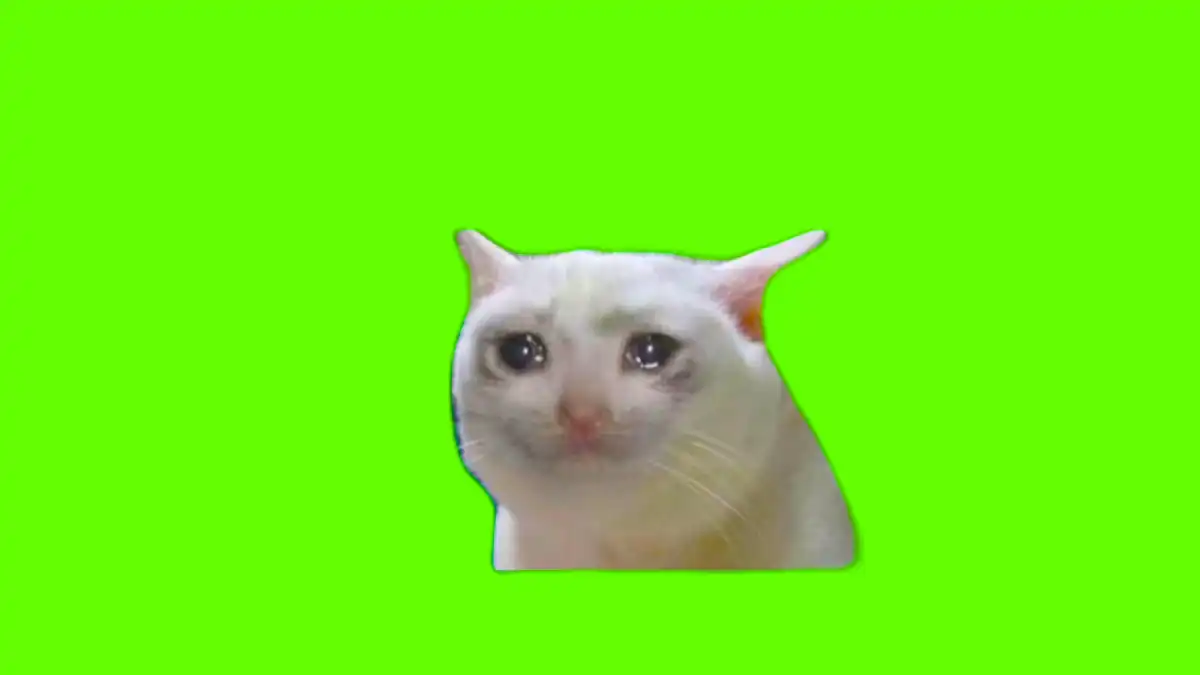 Cat Crying Meme Green Screen