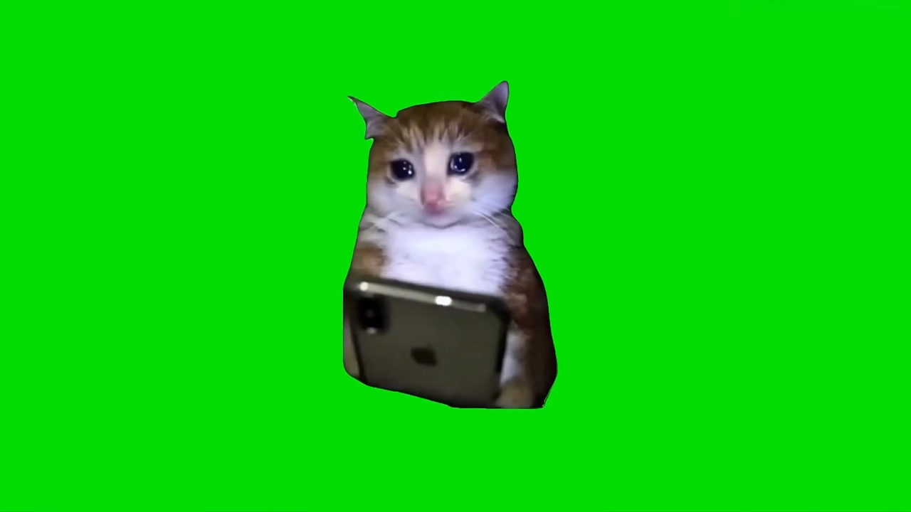 Cat Crying With a Phone Green Screen Memes
