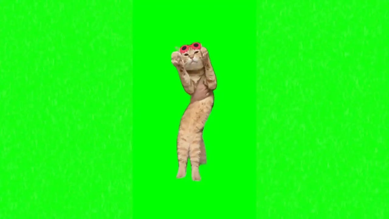 Cat dance meme green screen