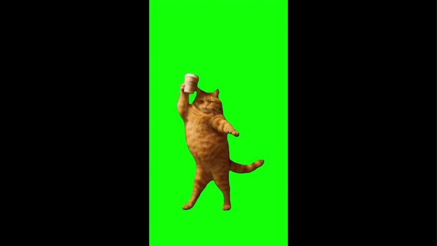 Cat Dancing With Coffee Green Screen Memes