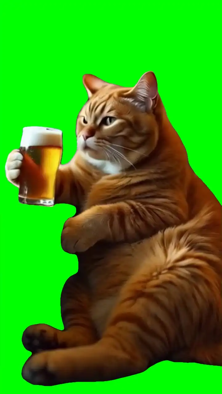 Cat drinking meme green screen