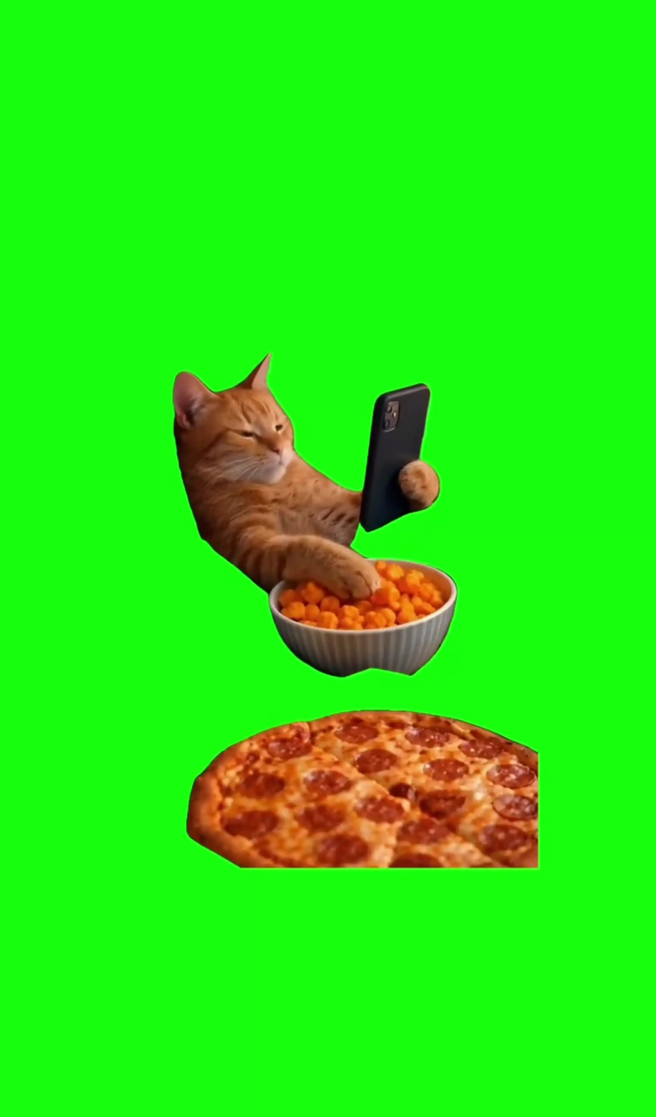 Cat eating pizza Green Screen Meme