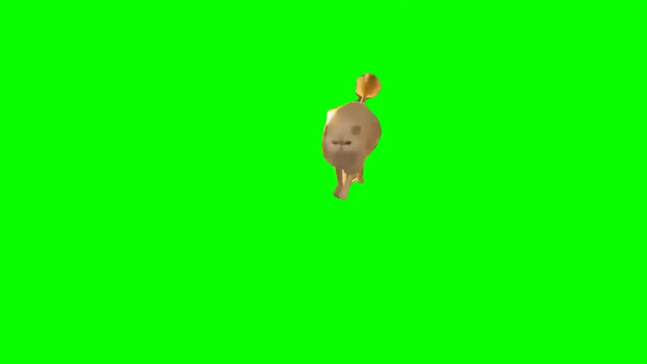 Cat fancy walk meme green screen