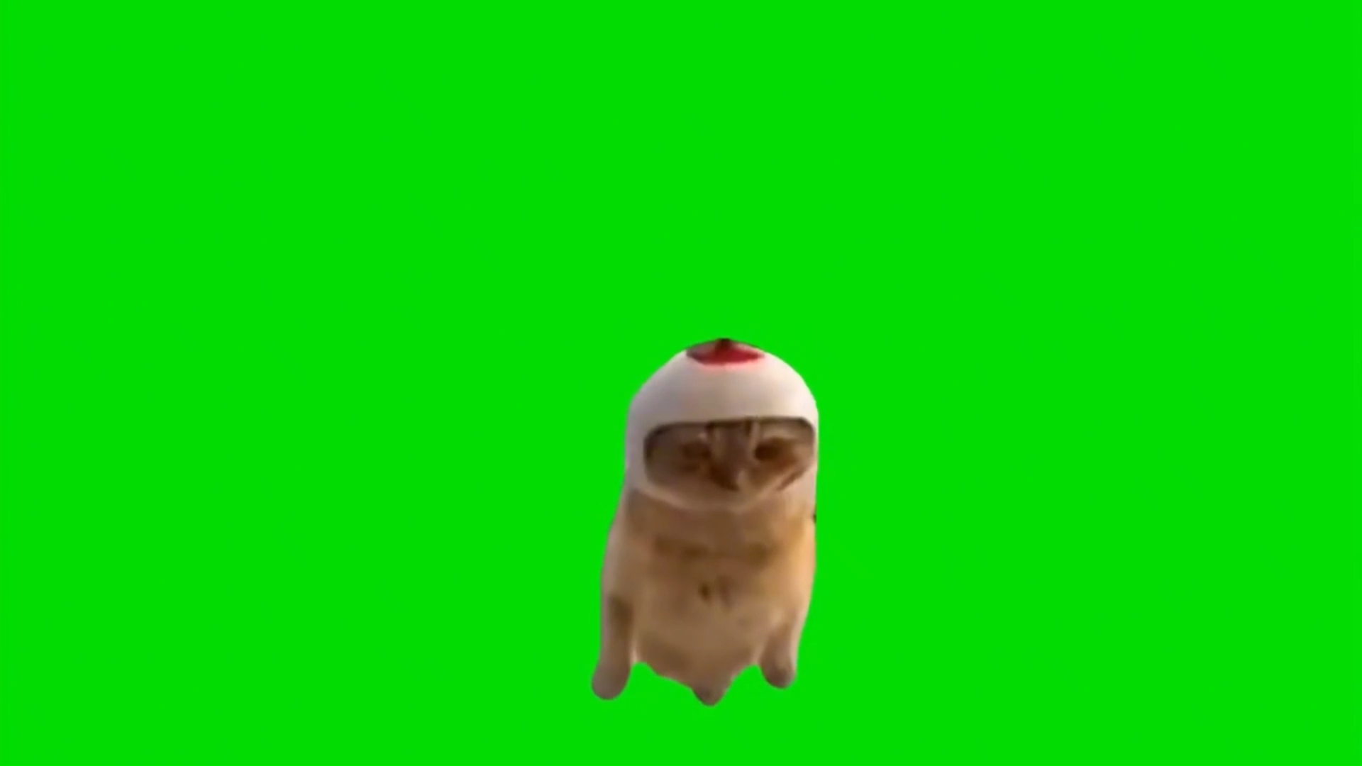 Cat Helicopter Green Screen Memes