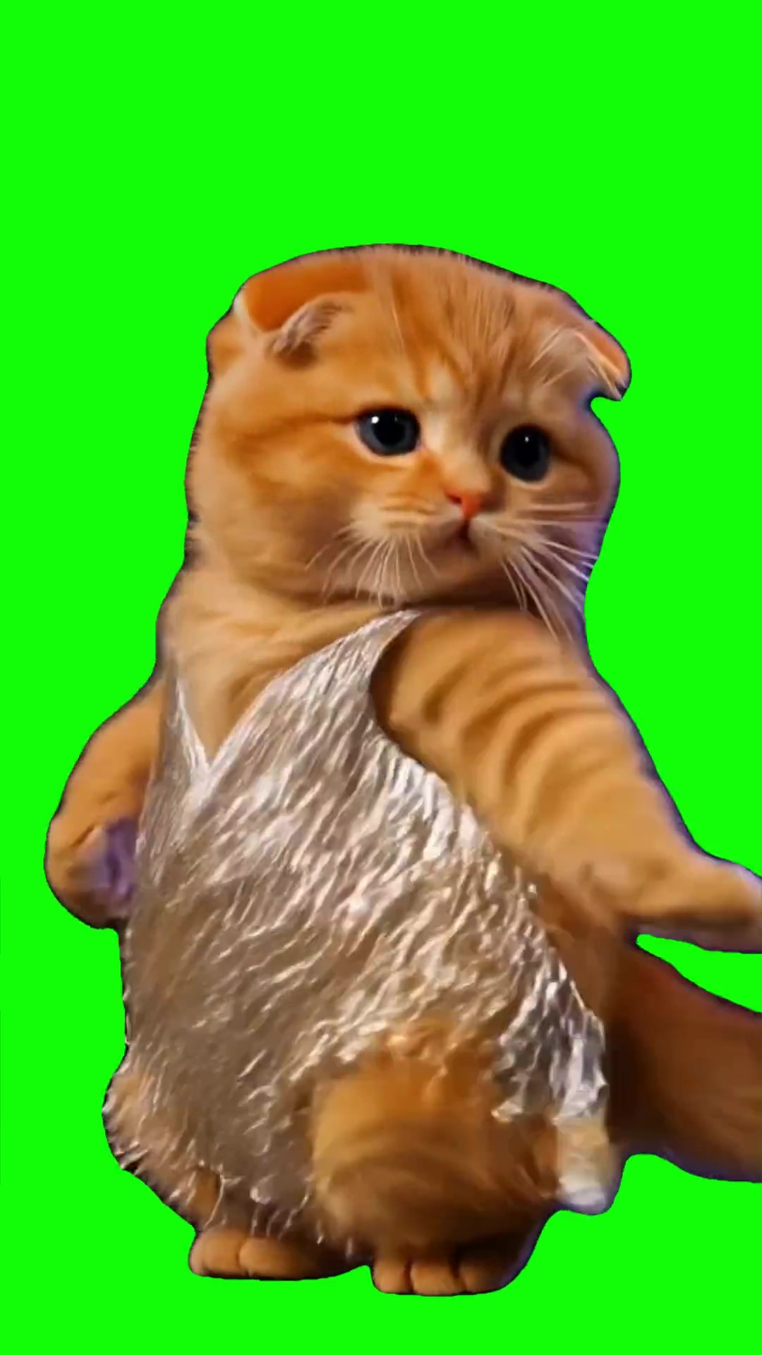 Cat in a dress dancing Green Screen Meme
