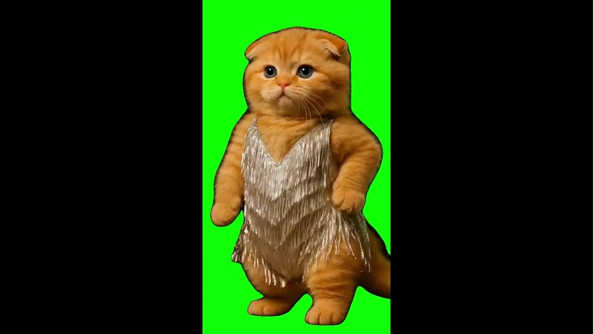 Cat In A Dress Dancing Green Screen Memes