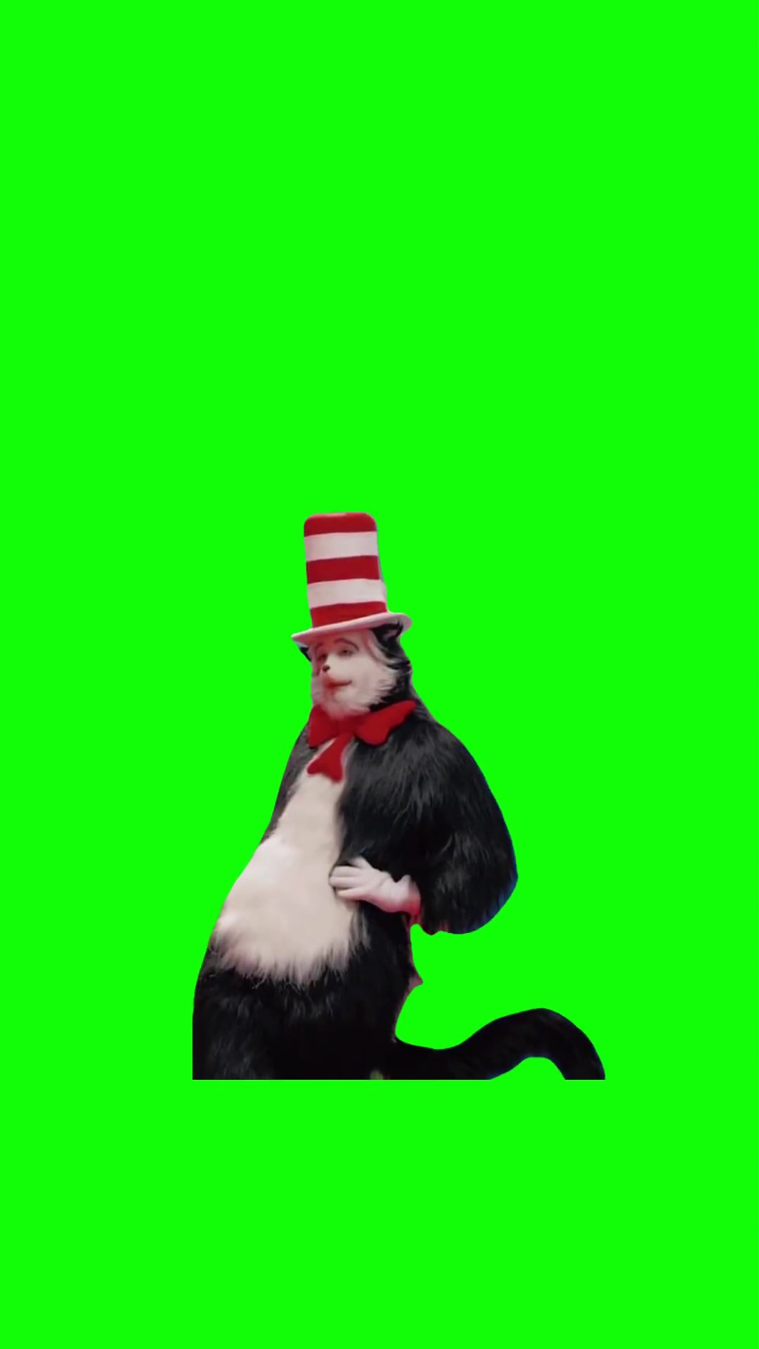 Cat in the hat blowin bubbles Green Screen Meme