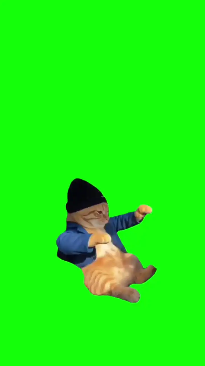 Cat jamming out Green Screen