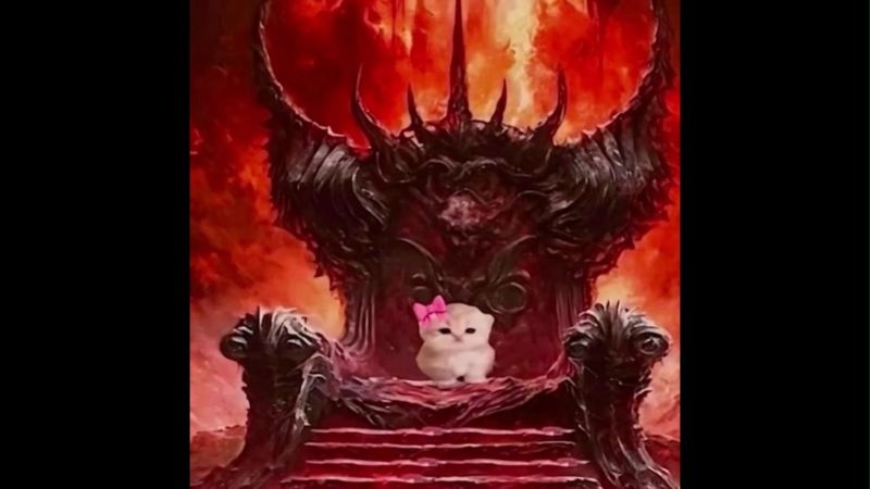 Cat King Chair Funny Memes Video