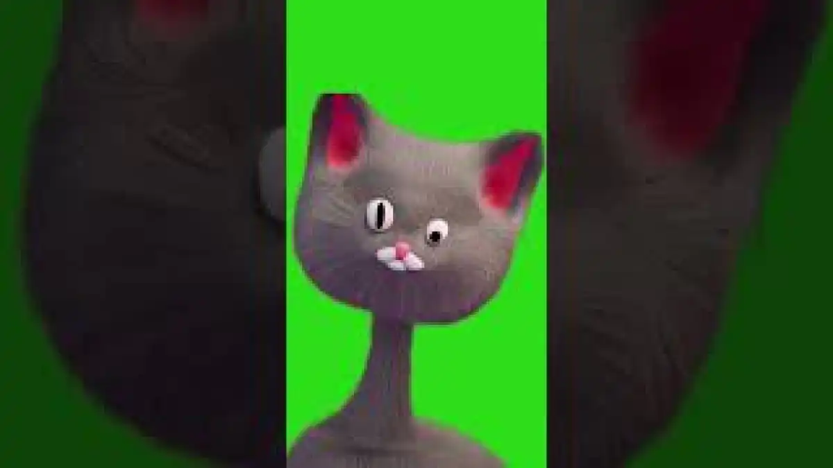 cat laughing Green screen