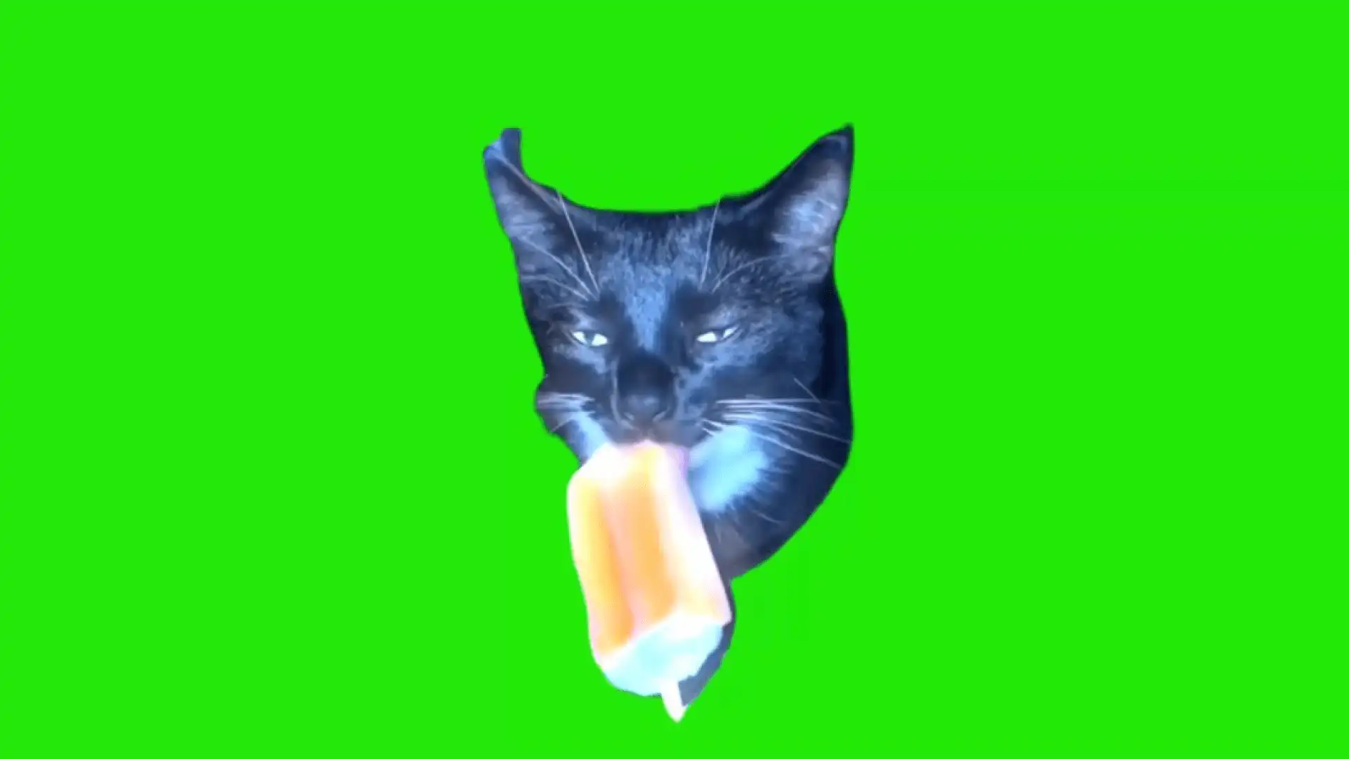Cat licking ice cream meme green screen