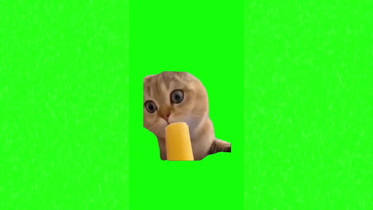 Cat licking icecream meme green screen