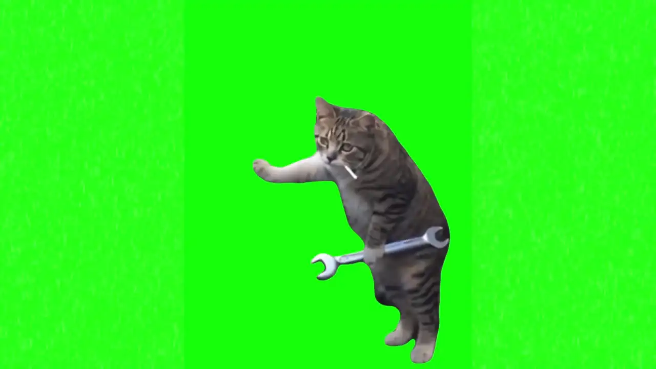 Cat mechanic meme green screen