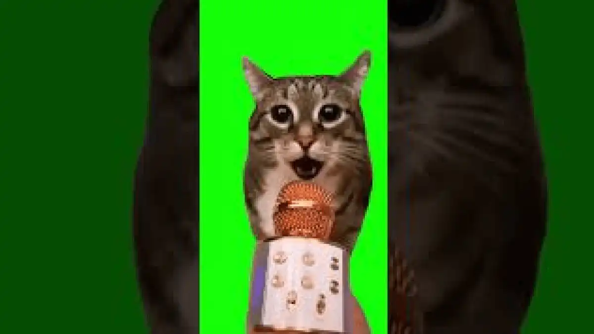 Cat Meows Into Microphone Green Screen