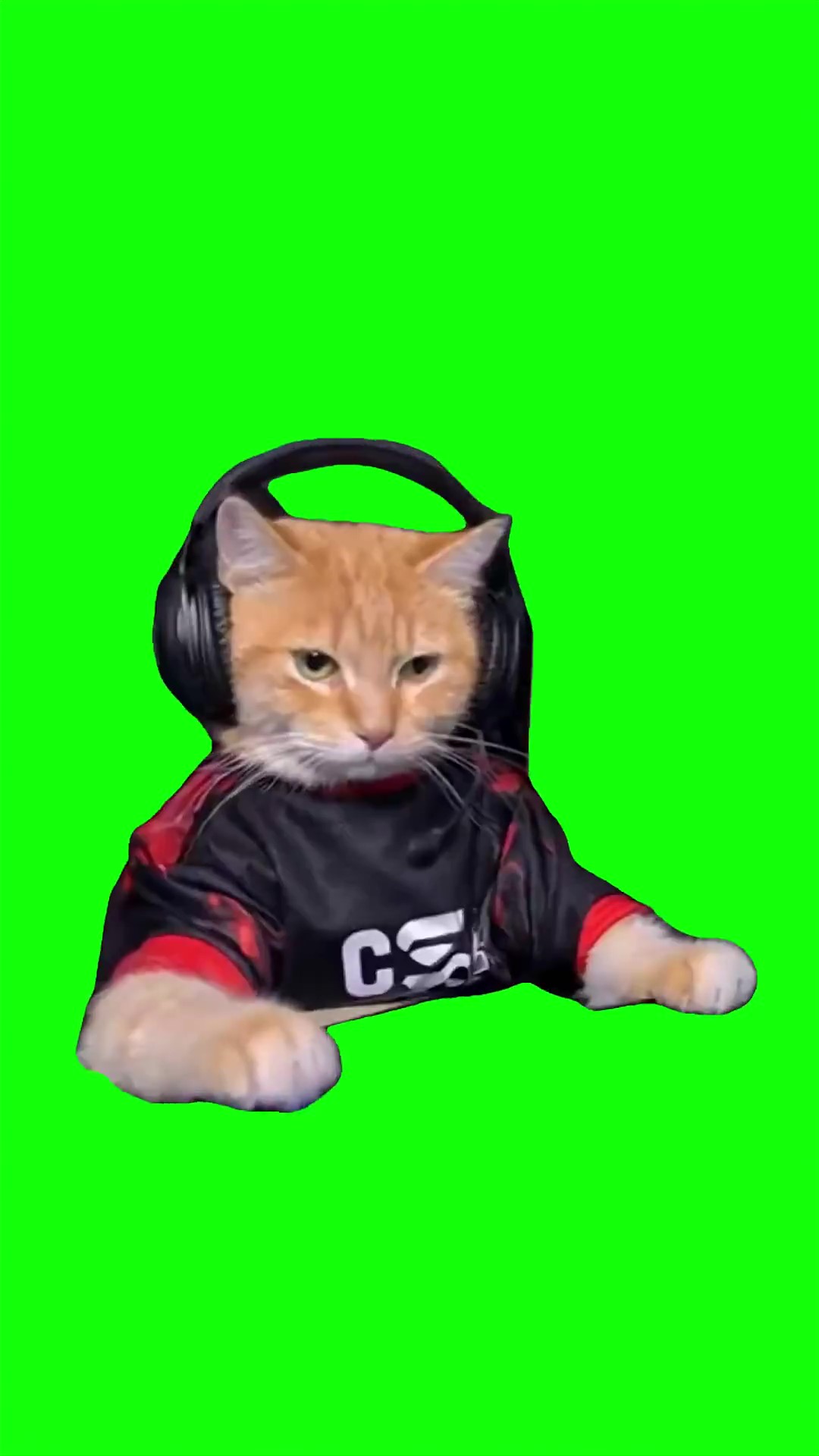 Cat playing video game Green Screen Meme