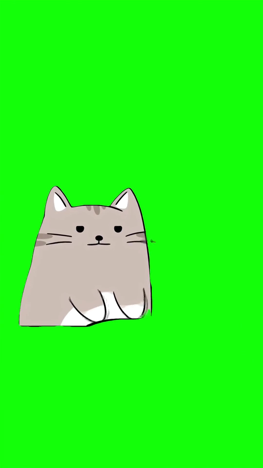 Cat typing fast on keyboard Green Screen Meme