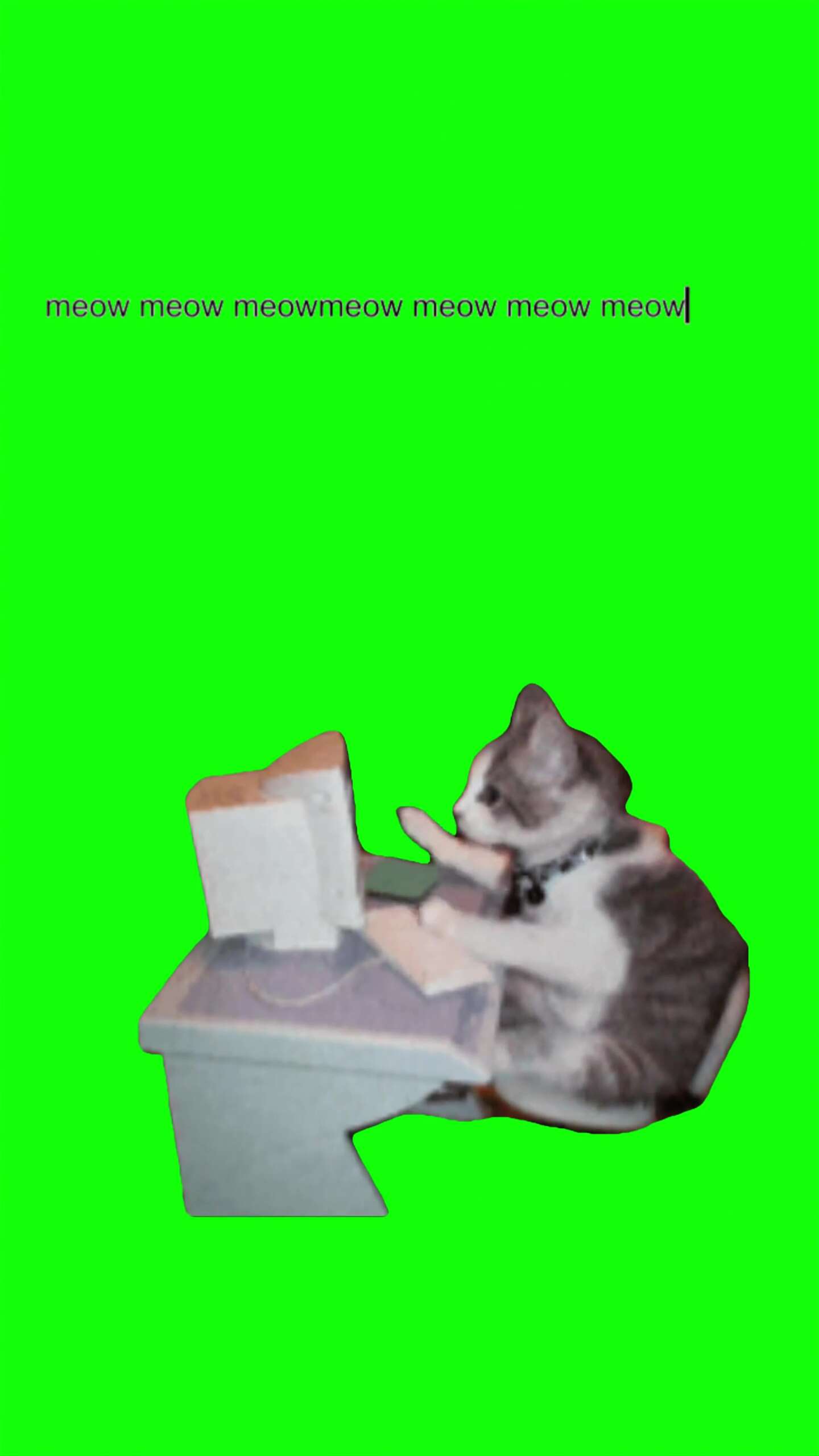 Cat Typing Meowmeow Green Screen